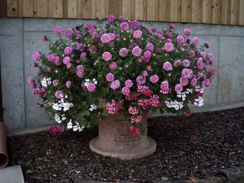 Blumen